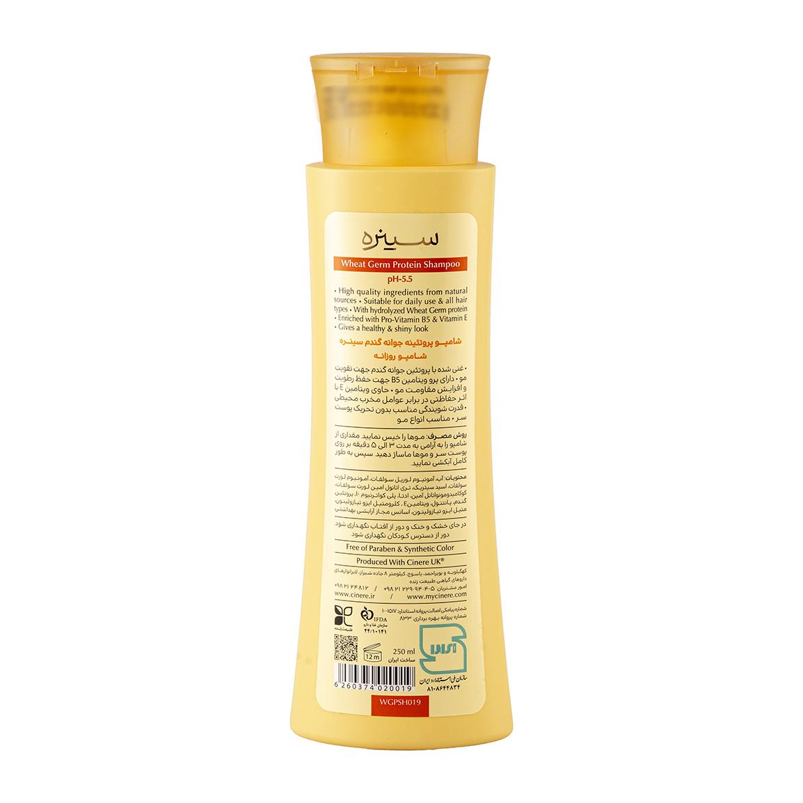 شامپو تقویت کننده مو سینره مدل Wheat Germ حجم 250 میلی لیتر